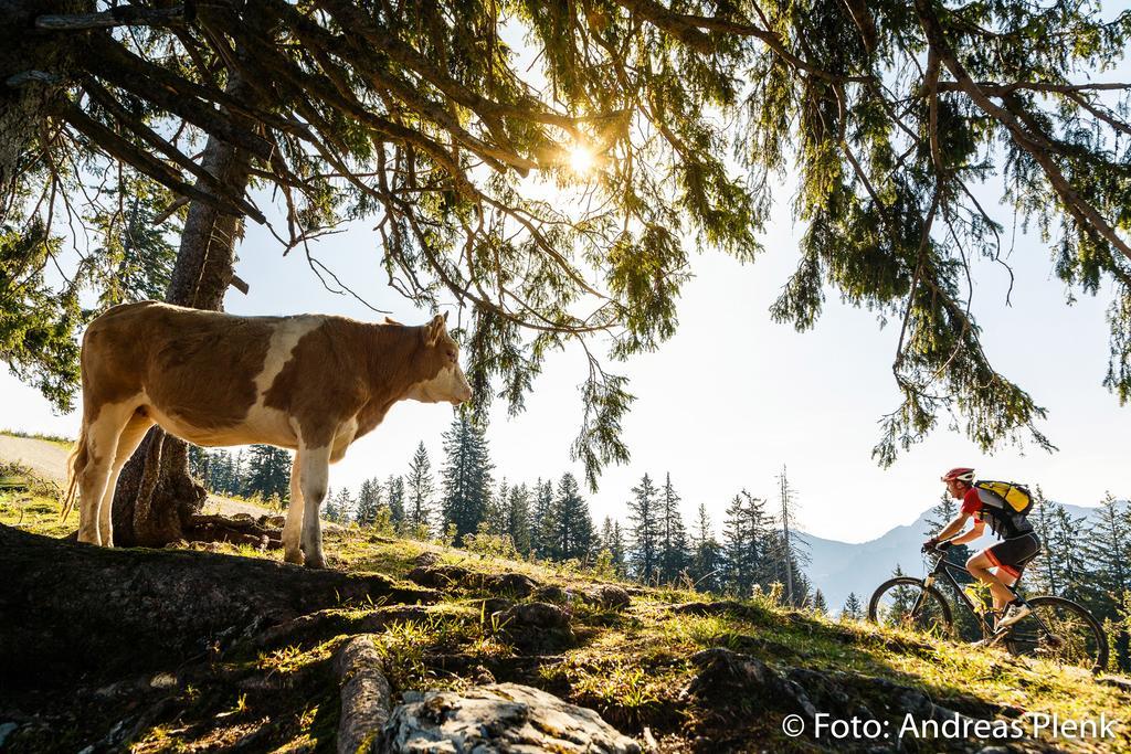 Ferienwohnungen Gastager Ruhpolding Exterior foto